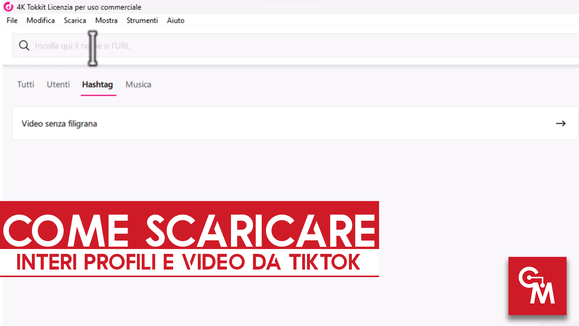 Come scaricare interi profili e video da TikTok