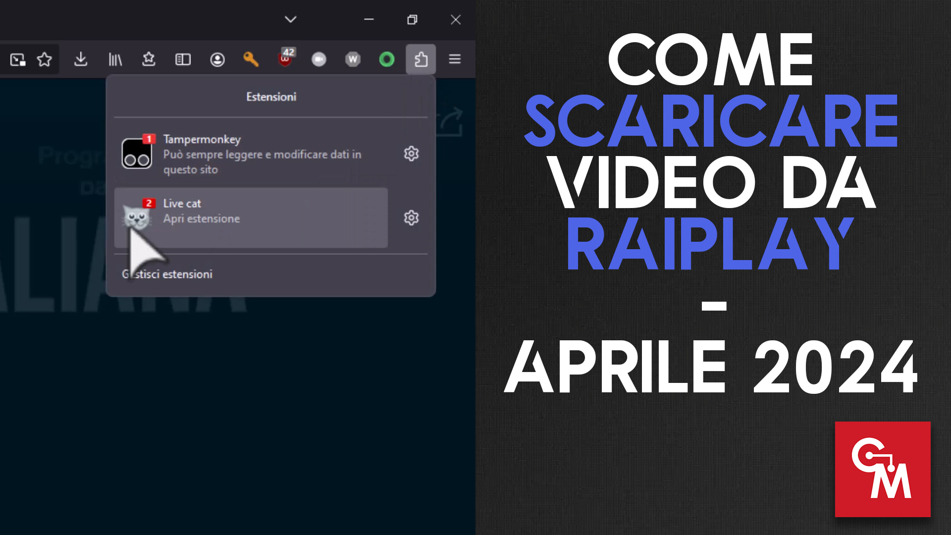 Come scaricare video da RaiPlay e da tanti altri siti – Aprile 2024
