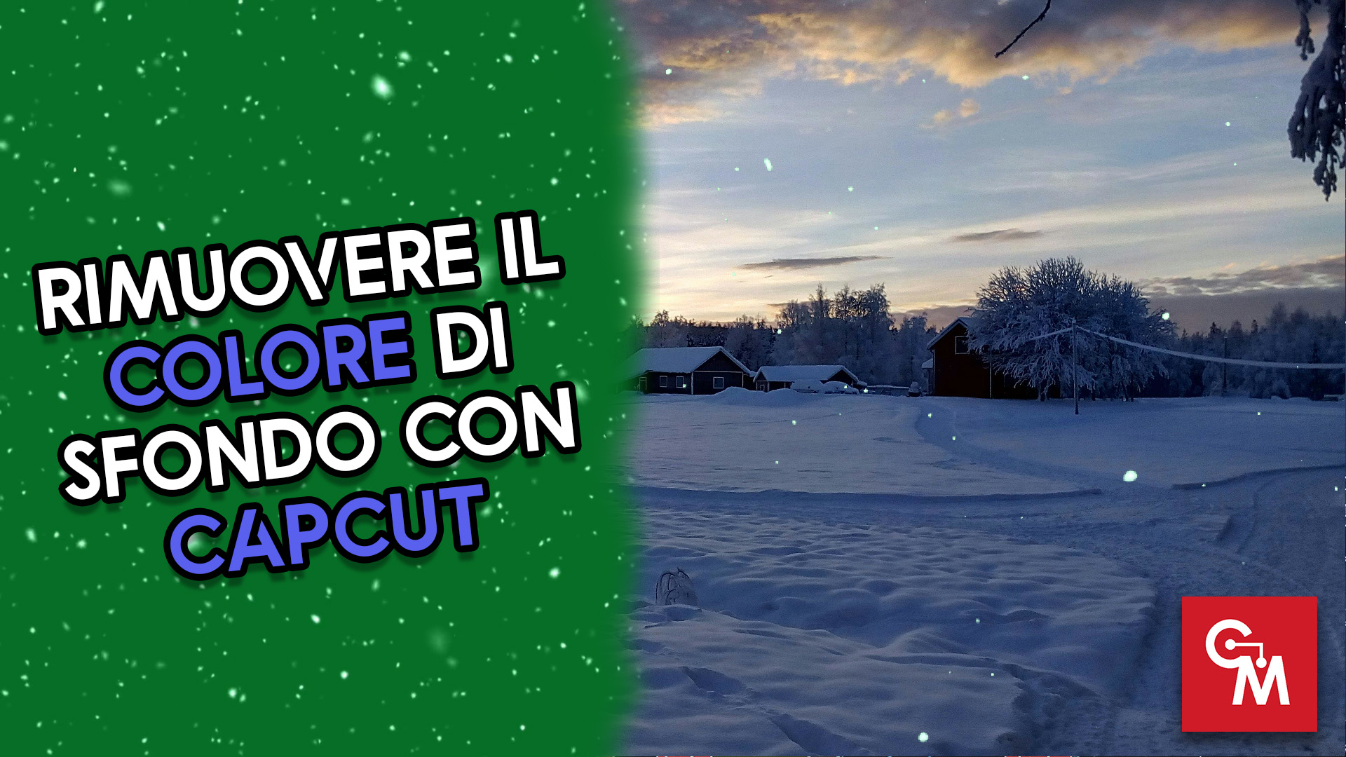 Rimuovere il colore di sfondo con Capcut